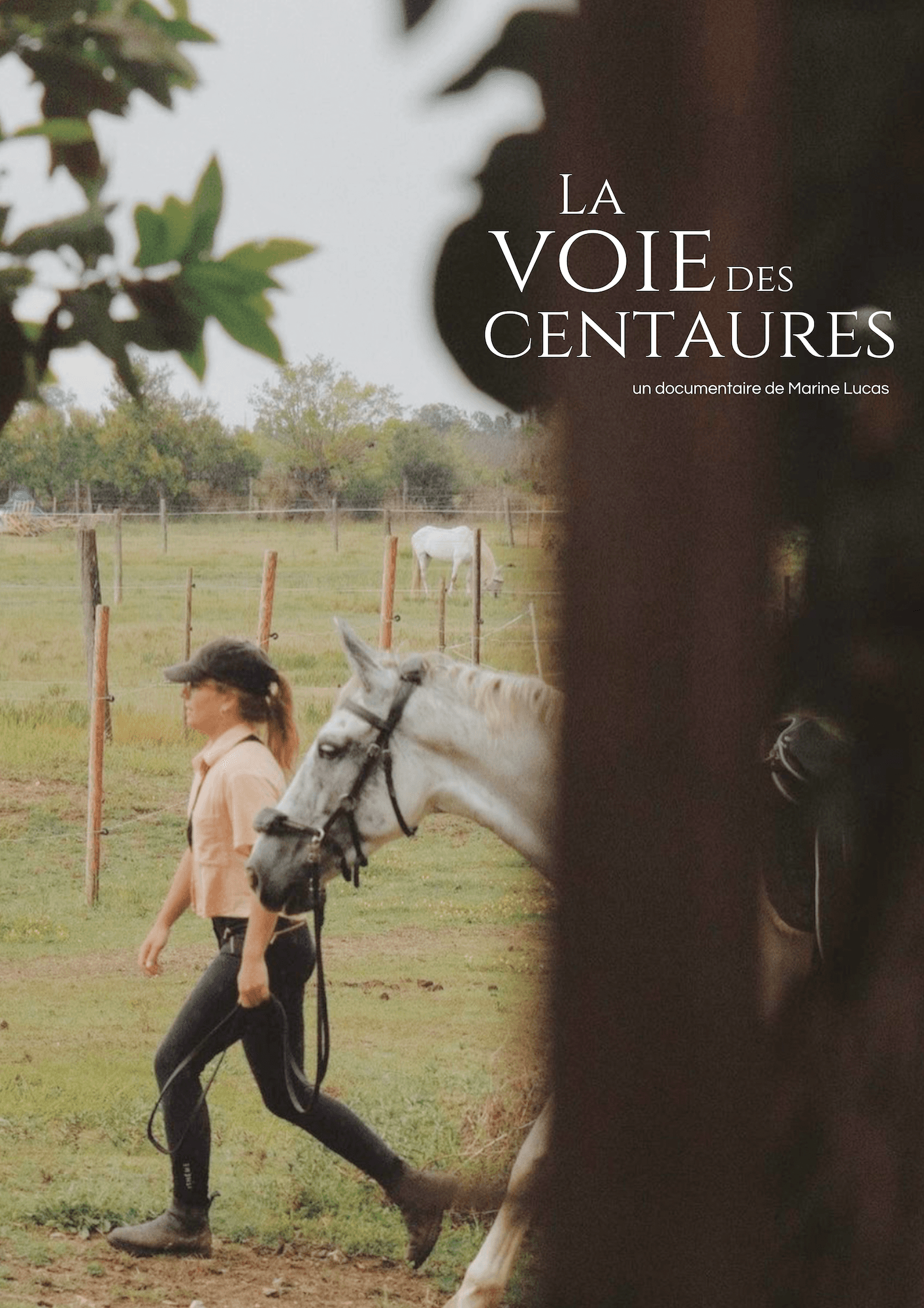 Acheter La Voie des Centaures - Documentaire cheval Pyrénées Marine Lucas - Achat définitif VOD